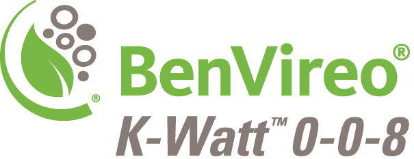 Logo_BenVireo_K-Watt_0-0-8