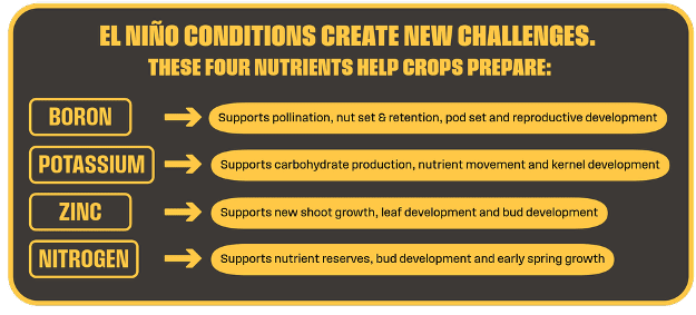 El Niño Conditions Create New Challenges. These four nutrients help crops prepare: Boron - supports pollination, nut set & retention, pod set, and reproductive development; Potassium - Supports carbohydrate production, nutrient movement, and kernel development; Zinc - Supports new shoot growth, leaf development, and bud development; Nitrogen - Supports nutrient reserves, bud development, and early spring growth.